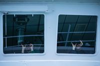  
<p class='fr'>
Les membres d’équipage de l’Abeille Languedoc surveillent les embarcations de migrants. 14 mars 2022.</p> 
<p class='en'>
Crew members on board the Abeille Languedoc observing migrants in their dinghies. March 14, 2022.</p>
